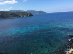 【お題日記】動画や映画は倍速で見る？