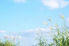 明日仕事に行ったら