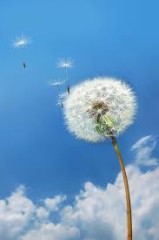 【お題日記】伊達眼鏡持ってる？