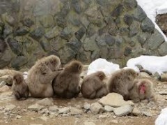 クリスマスですよ