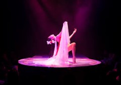 【お題日記】ストリップ見た事あります