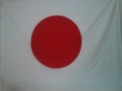 【お題日記】猫ひろし「まぼろしの五輪」どう思う？