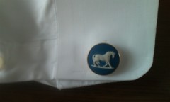 【お題日記】「ワイルドなエピソード」教えてください！