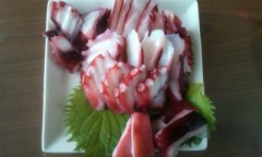 【お題日記】何かから逃げ出したくなったら、どうする？