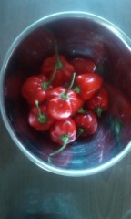 【お題日記】得意料理は何ですか？