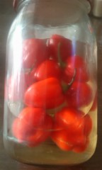 【お題日記】健康の為に気をつけている事