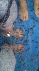 ドクターフィッシュ