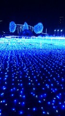 表の写真間違えた　です