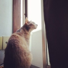 友達とご飯&カキ氷