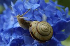 【お題日記】「梅雨らしさ」感じさせる写真を見せて！