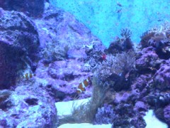 雪から海へ・・・