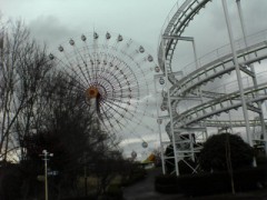 揺れる観覧車(T-T)