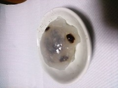 【お題日記】なんとなく