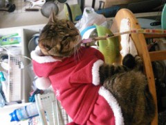 【お題日記】ヒトリノヨル