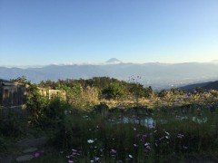 【お題日記】初、女二人旅！