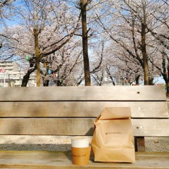 【お題日記】今年の花見の予定は？