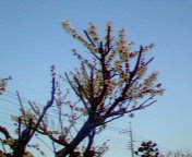 春はすぐそこまで・・・・