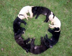 ♪今日は恋愛に仕事にがんばっている人たちにエールを送ります♪（一部編集・曲追加あり）