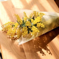 【お題日記】エッチできる年齢の範囲は？