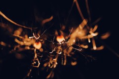 最近の様子