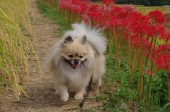 【お題日記】時間、大切に使ってる？