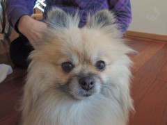 【お題日記】今期の気になる連続ドラマは何ですか？