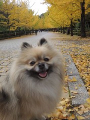 【お題日記】宝くじが100万円当たったら何に使う？