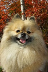 【お題日記】消したい過去はありますか？