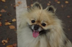 雨ですねぇ・・・