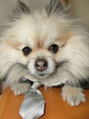 ＢｏｏＢｏｏ！