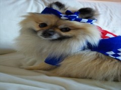 気分は、夏祭り！