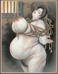 【お題日記】2017年ウラデジの抱負を!!