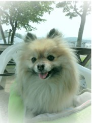 【お題日記】お気に入りの写真見せて