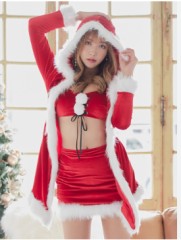 【お題日記】サンタコスHする？