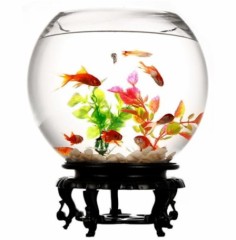 【お題日記】理想のデートプラン