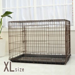 飼育