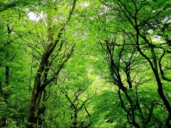 【お題日記】春夏秋冬、いつが好き？