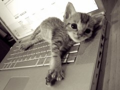 今日も出勤(涙）