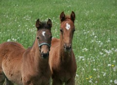 金か・・・９時