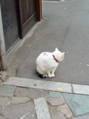 ハムレットとジュリエット