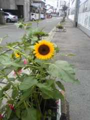 私は彼の事を理解出来ていたのだろうか(・_・;)