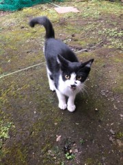 【お題日記】新生活で困ること