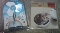 扇風機 &amp; 猫　-Electric fan &amp; Cat-