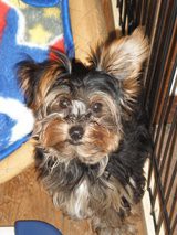 ん～暇だね～・・