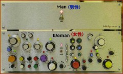 男女の人生を一発で説明すると…