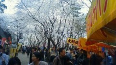 東京桜散歩～２