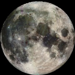 なんか・・・・