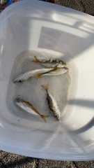 おはようございます♪