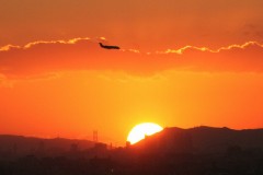 男と女の間には