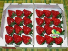 いちご食べすぎ･･･